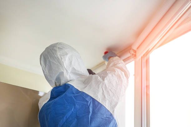 Best Asbestos and Lead Testing During Mold Inspection  in Bedford, TX