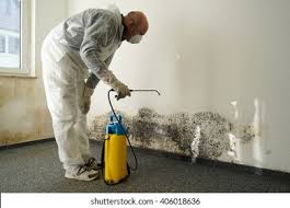 Best Emergency Mold Remediation  in Bedford, TX